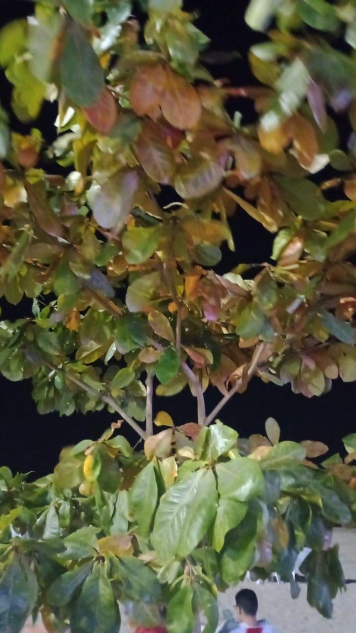 04f9751a-9046-4162-a0db-2897b104f640