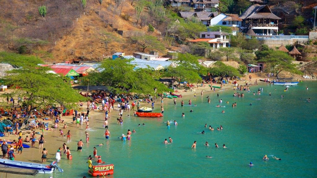 ¡Precaución en Taganga! Alerta por presencia de fragatas portuguesas en sus playas