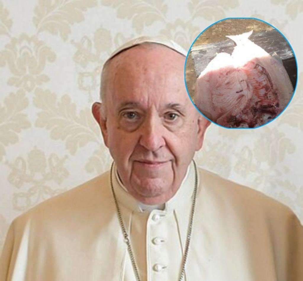 El “pescado del Papa” conmueve a Puerto Belén: el rostro de Francisco apareció en una dorada