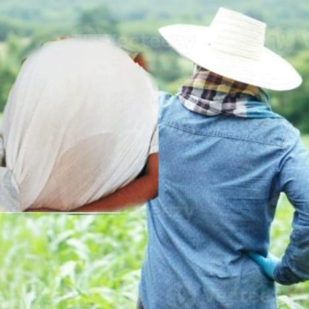 ¡Reapareció la barriga e' trapo¡ mujer de 15 años en el Magdalena le hizo creer a ganadero que estaba embarazada para quedarse con su fortuna