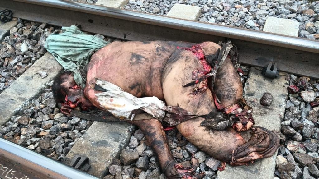 La trágica historia del hombre que no quiso vivir más y se le tiró a un tren en la Zona Bananera