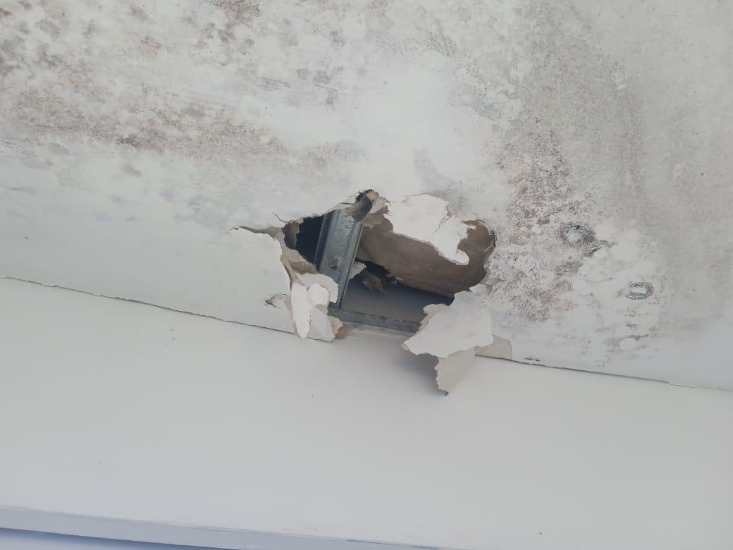 b52cbcf8-276a-4bfd-89dc-5e42e04196ee-1