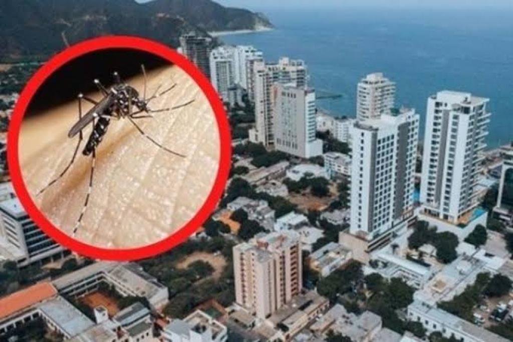 ¡Alarma sanitaria! el dengue está matando a los menores de edad en Santa Marta