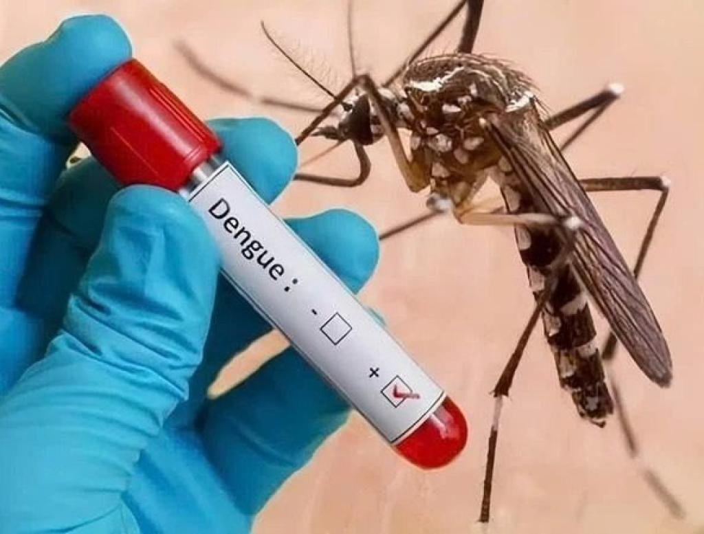 ¡Alerta por dengue en Magdalena! Más de 6.400 casos y 9 muertes en 2026