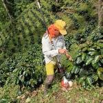 Campesinos de Palmor denuncian posible afectación y despojo a sus tierras y piden intervención de la Fiscalía y la Procuraduría